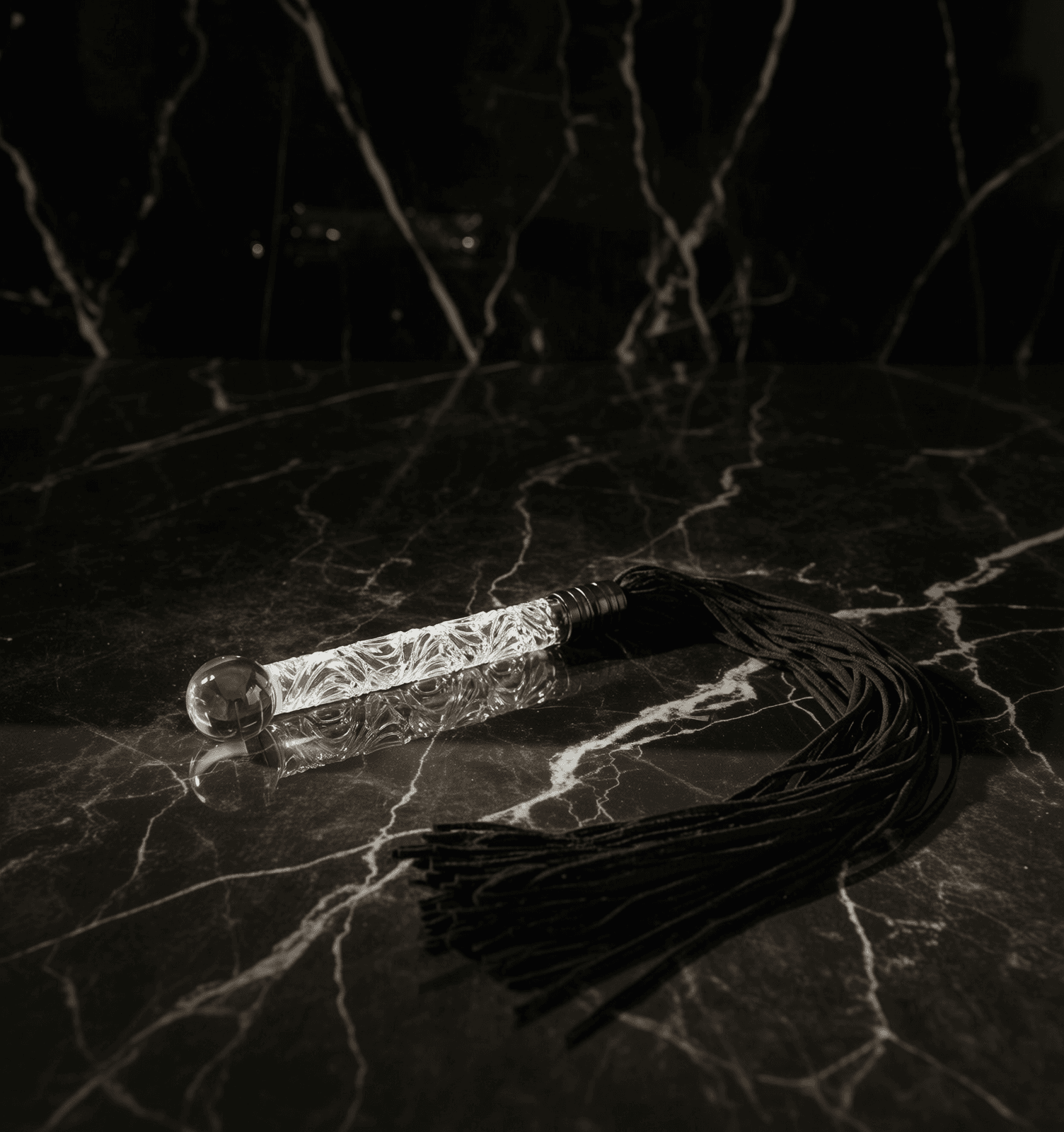 Látigo Crystal Command - Imagen 1 de 1